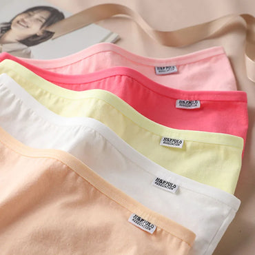 Set de 3 Panties de Algodón - Ropa Interior de Talle Medio Tallas Plus