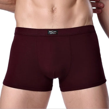 Men's Bamboo Boxer Shorts – 4-Pack Soft & Breathable Underwear (L–XXXL)