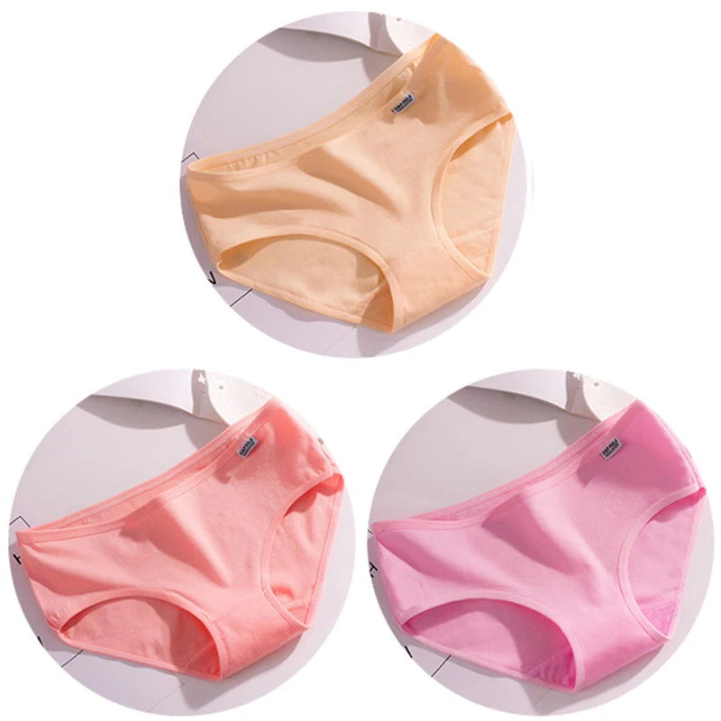 Set de 3 Panties de Algodón - Ropa Interior de Talle Medio Tallas Plus