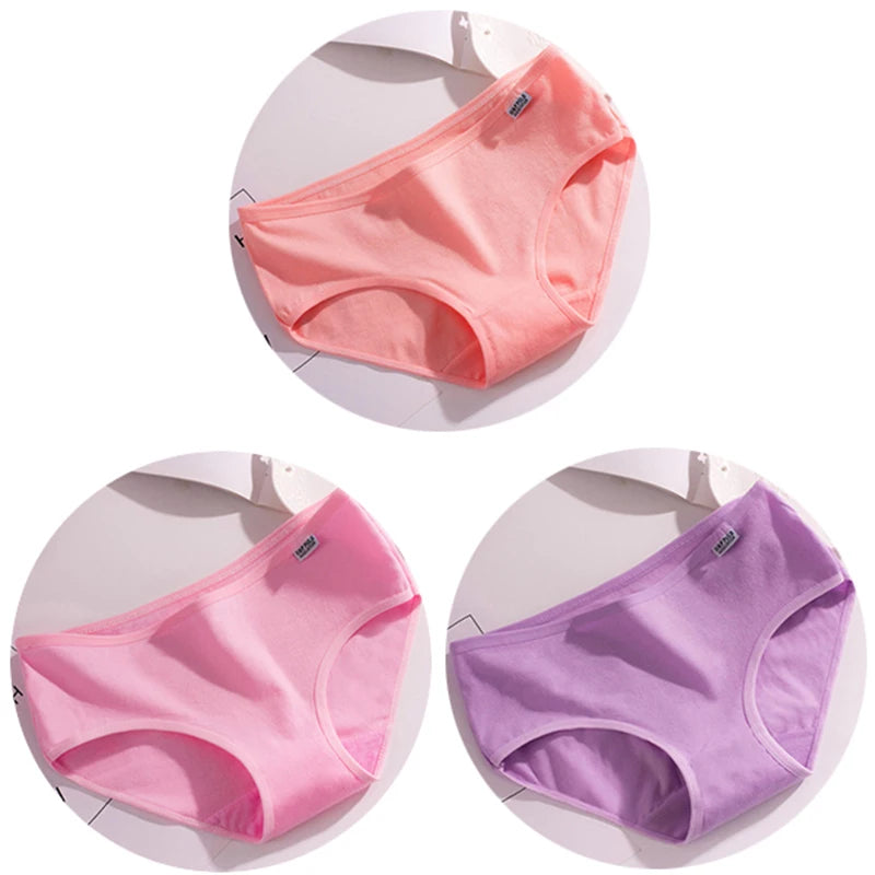 Set de 3 Panties de Algodón - Ropa Interior de Talle Medio Tallas Plus