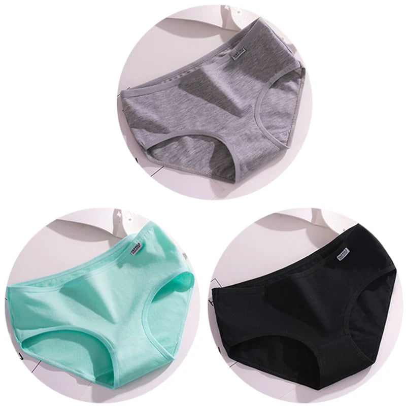 Set de 3 Panties de Algodón - Ropa Interior de Talle Medio Tallas Plus