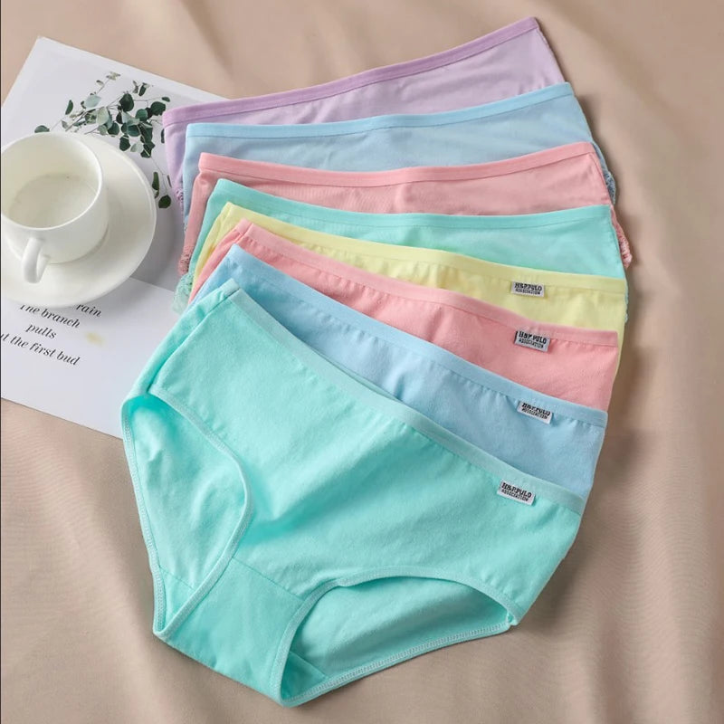 Set de 3 Panties de Algodón - Ropa Interior de Talle Medio Tallas Plus