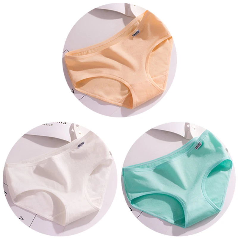 Set de 3 Panties de Algodón - Ropa Interior de Talle Medio Tallas Plus