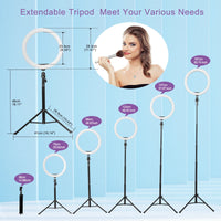 Five Section Phone Selfie Stick Tripod Suitable for Mobile Phone Cameras Holder Stand Opp Bag 300 Portable 1.6 Meter 160cm Black