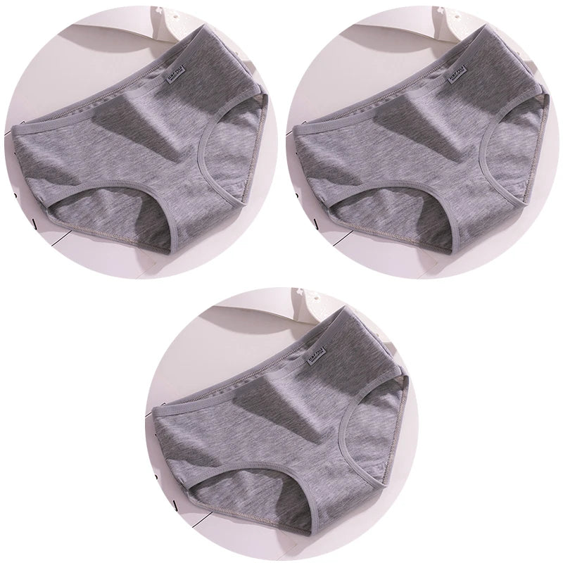 Set de 3 Panties de Algodón - Ropa Interior de Talle Medio Tallas Plus