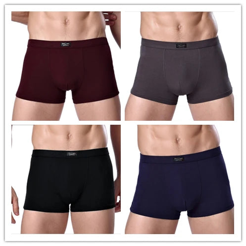 Men's Bamboo Boxer Shorts – 4-Pack Soft & Breathable Underwear (L–XXXL)