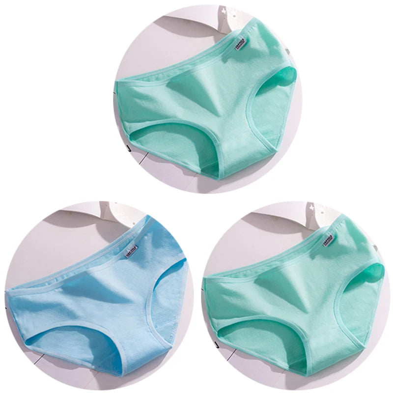 Set de 3 Panties de Algodón - Ropa Interior de Talle Medio Tallas Plus