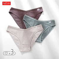 Set de 3 Panties de Algodón - Ropa Interior Cómoda FINETOO M-4XL