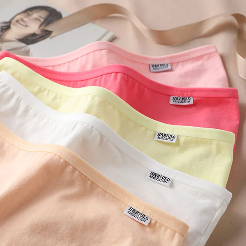 Set de 3 Panties de Algodón - Ropa Interior de Talle Medio Tallas Plus