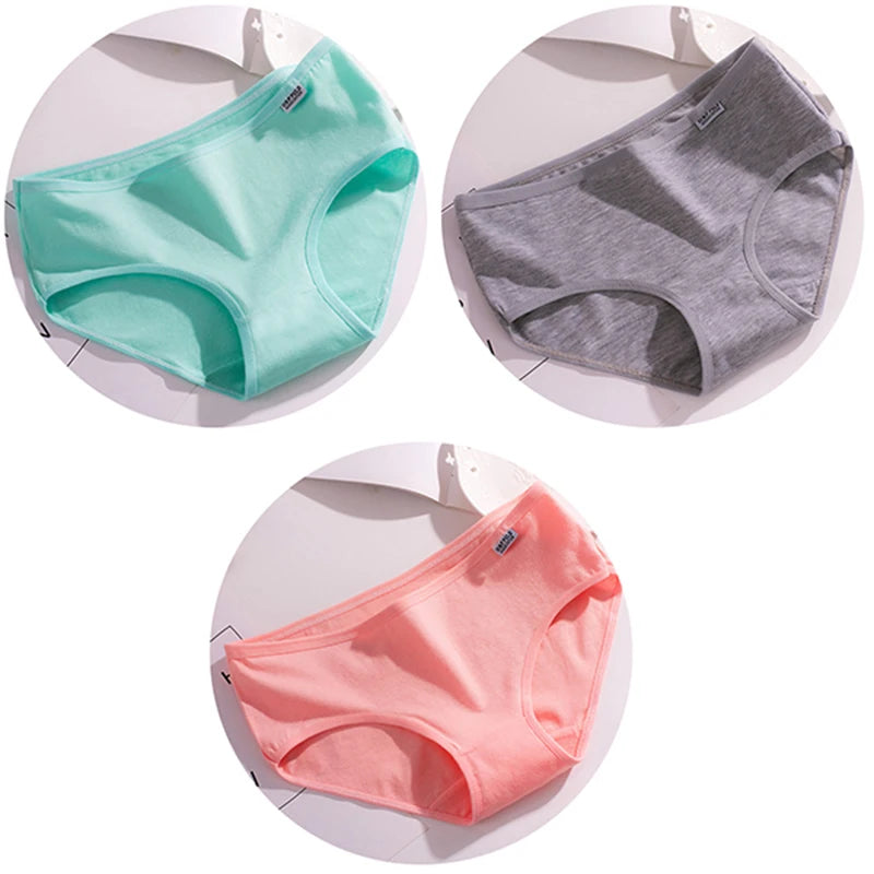 Set de 3 Panties de Algodón - Ropa Interior de Talle Medio Tallas Plus