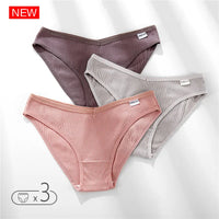 Set de 3 Panties de Algodón - Ropa Interior Cómoda FINETOO M-4XL