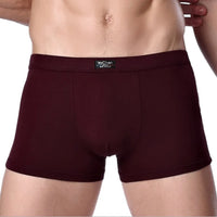 Men's Bamboo Boxer Shorts – 4-Pack Soft & Breathable Underwear (L–XXXL)