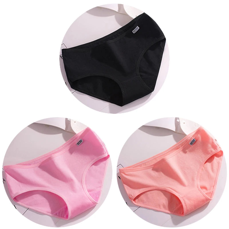 Set de 3 Panties de Algodón - Ropa Interior de Talle Medio Tallas Plus
