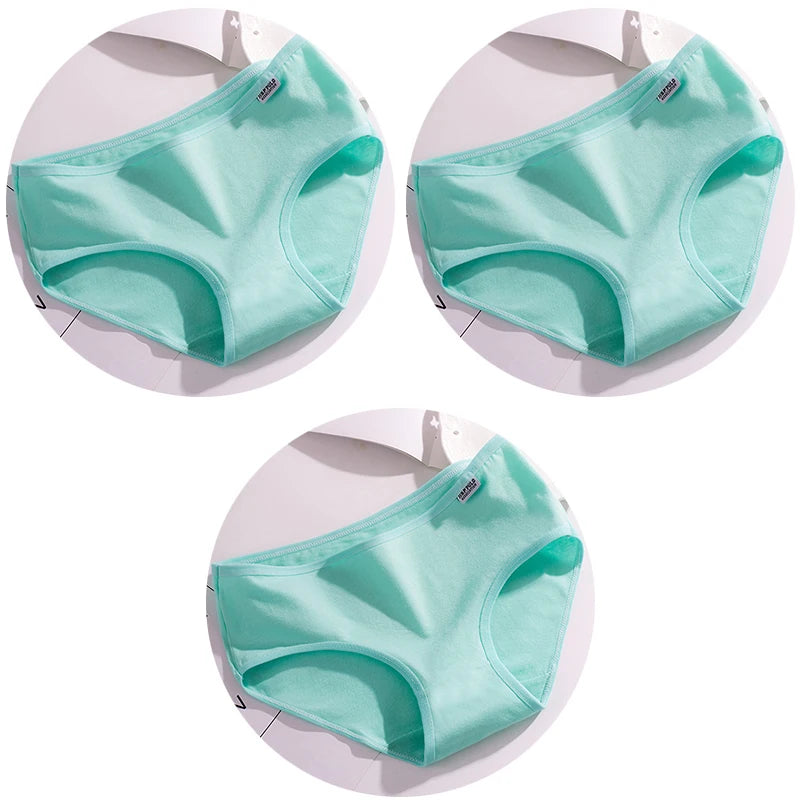 Set de 3 Panties de Algodón - Ropa Interior de Talle Medio Tallas Plus