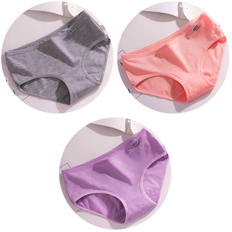 Set de 3 Panties de Algodón - Ropa Interior de Talle Medio Tallas Plus