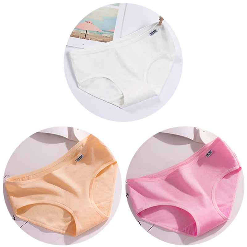 Set de 3 Panties de Algodón - Ropa Interior de Talle Medio Tallas Plus