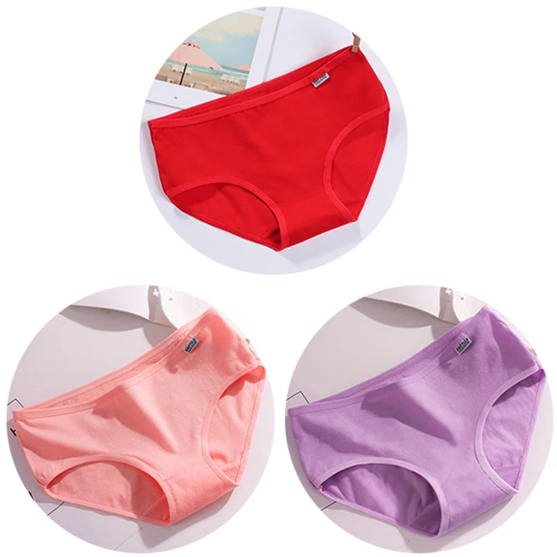 Set de 3 Panties de Algodón - Ropa Interior de Talle Medio Tallas Plus