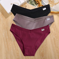 Set de 3 Panties de Algodón - Ropa Interior Tallas Plus M-4XL