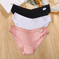 Set de 3 Panties de Algodón - Ropa Interior Tallas Plus M-4XL