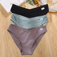 Set de 3 Panties de Algodón - Ropa Interior Tallas Plus M-4XL