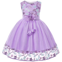 Floral Embroidered Lace Ball Gown – Sleeveless Princess Party Dress for Girls
