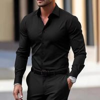 1 piece of business casual long sleeved shirt, spring and autumn style formal shirt, slightly elastic and iron free