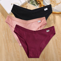 Set de 3 Panties de Algodón - Ropa Interior Tallas Plus M-4XL