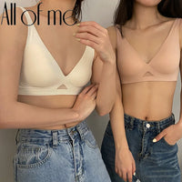 Seamless Wire-Free Push-Up Bra | Soft Support Bralette for Women