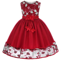 Floral Embroidered Lace Ball Gown – Sleeveless Princess Party Dress for Girls