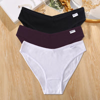 Set de 3 Panties de Algodón - Ropa Interior Tallas Plus M-4XL